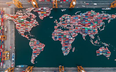 Transformación Administrativa y Financiera en Estudio de Comercio Exterior