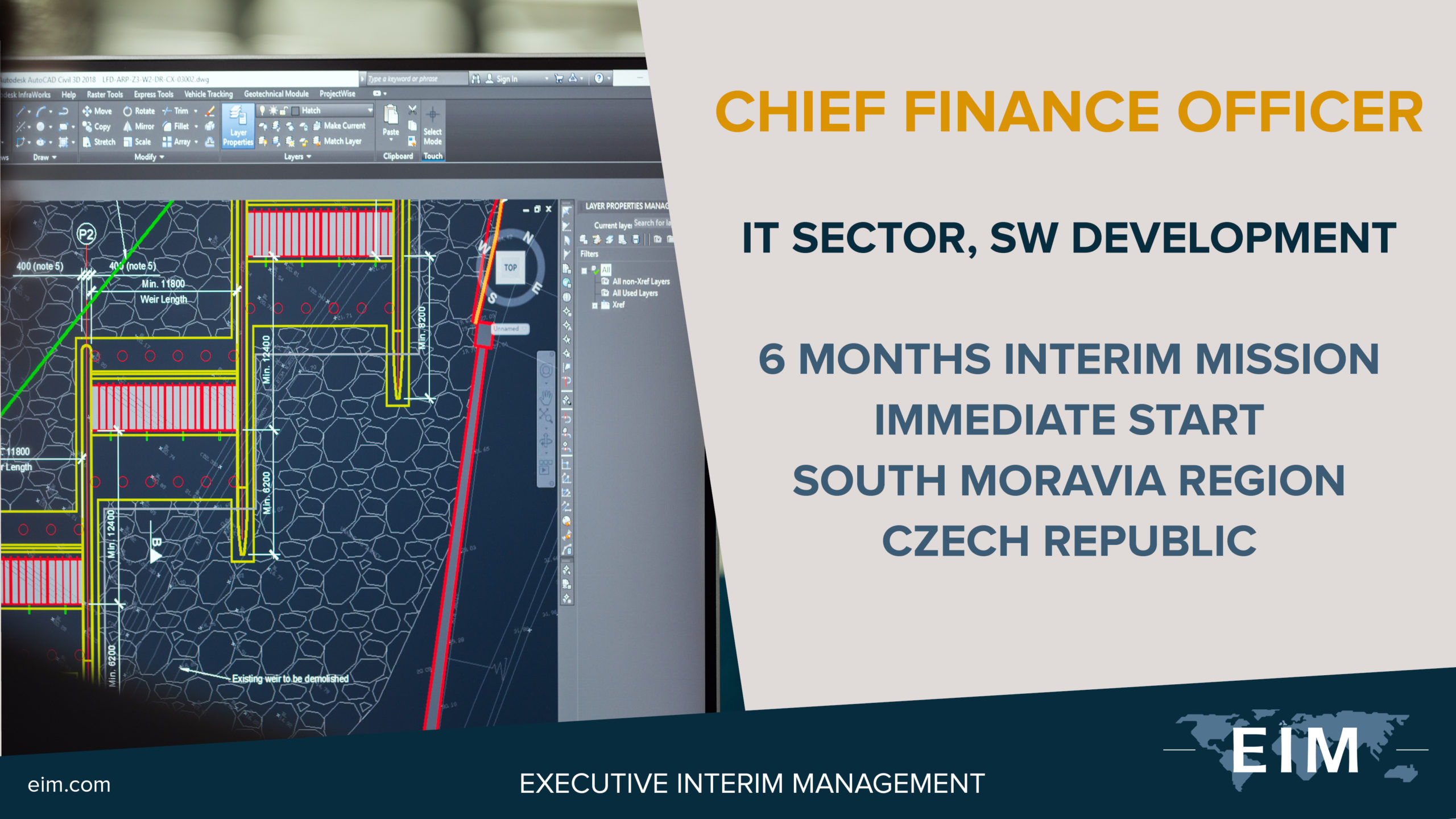 Interim CFO IT Interim CFO