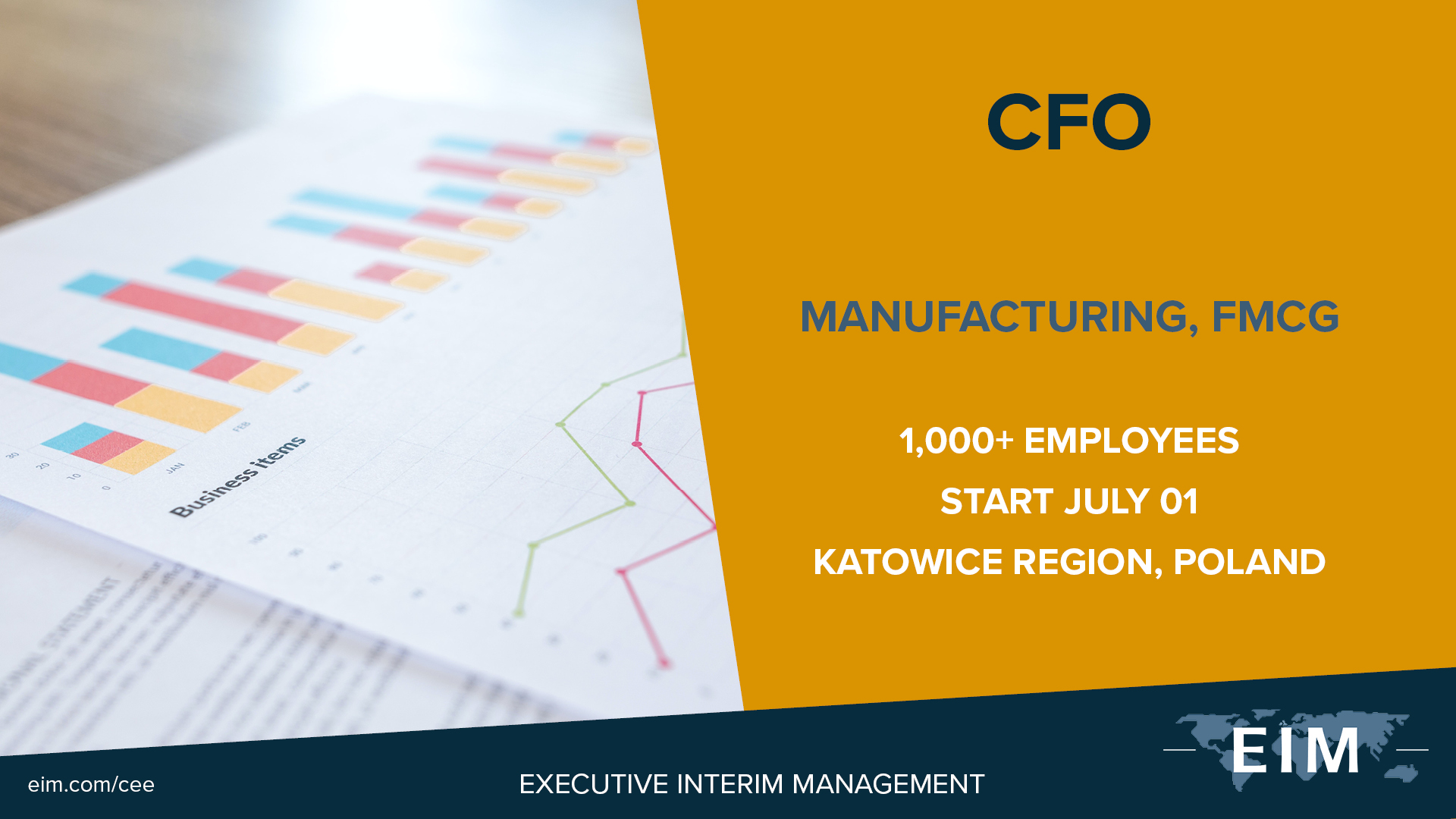 039 Lean Manager -MARK - CFO Interim Lean Manager
