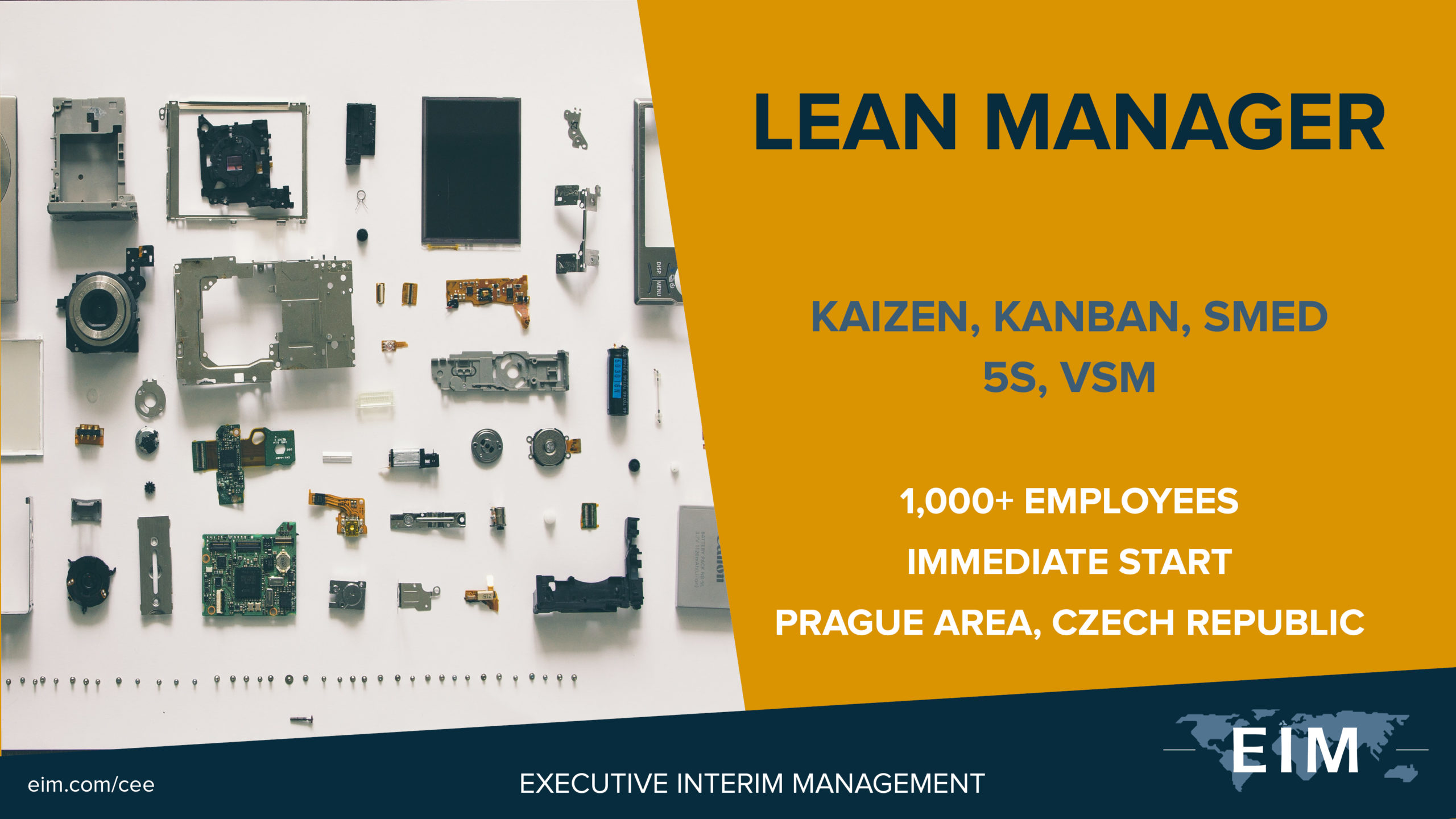 Interim Lean Manager Interim Lean Manager