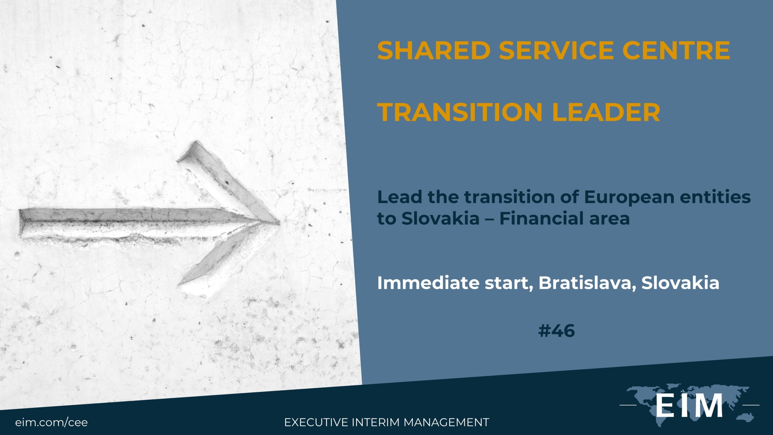 SSC Transition Lead