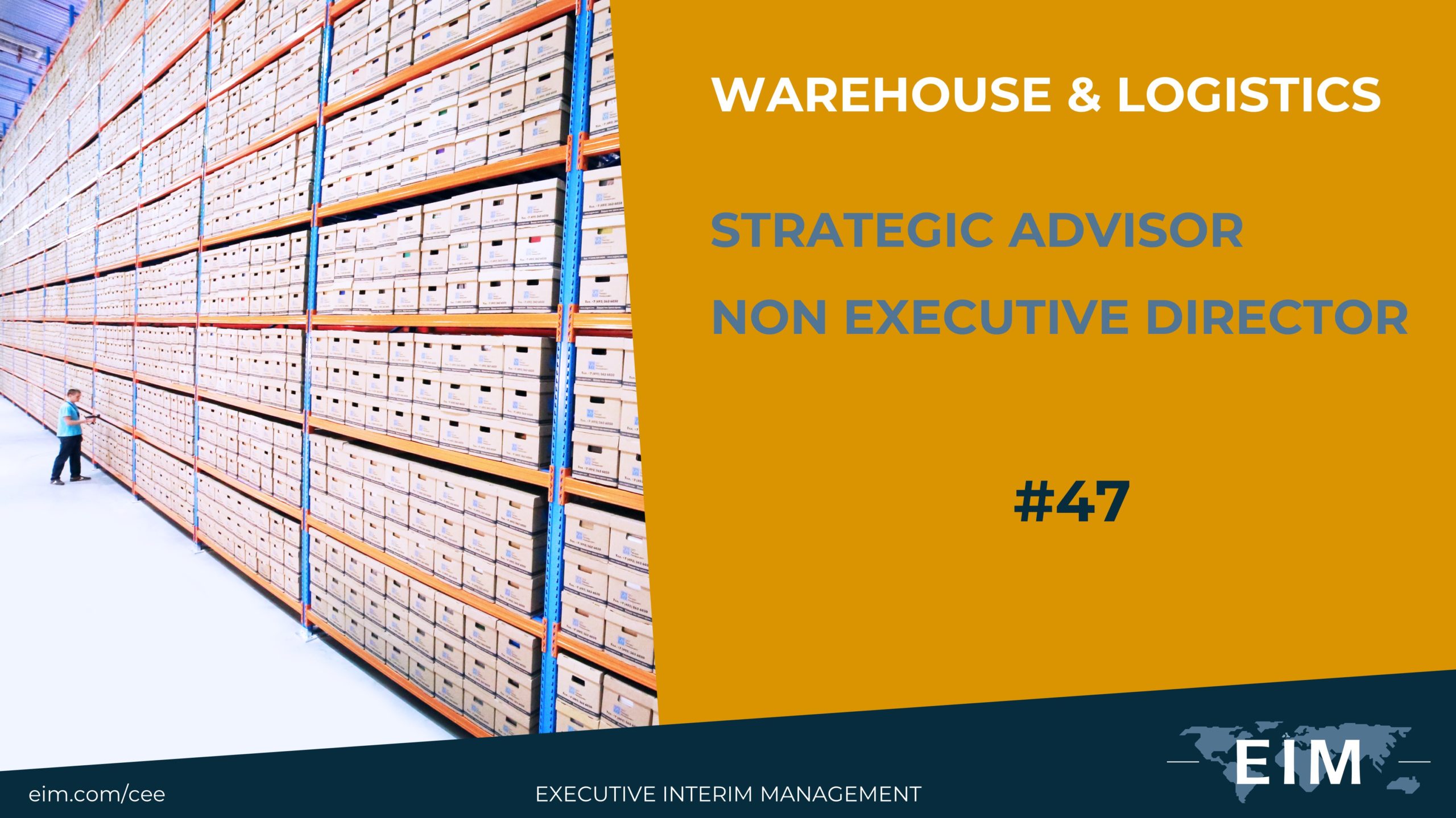 Interim Logistics Director Interim Logistics Director