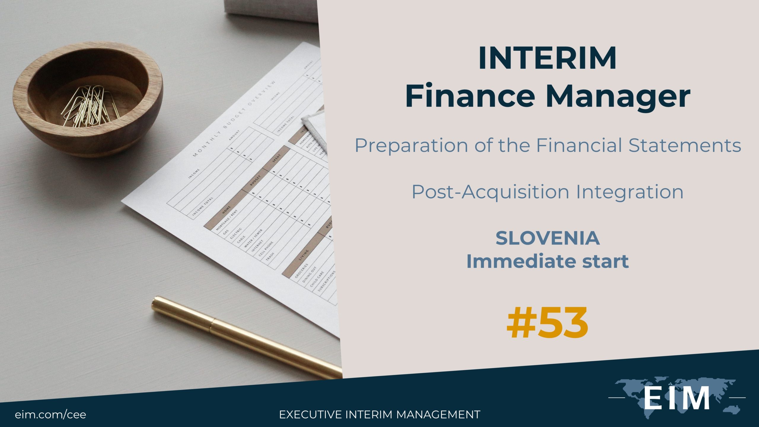 Interim Finance Manager Interim Finance Manager