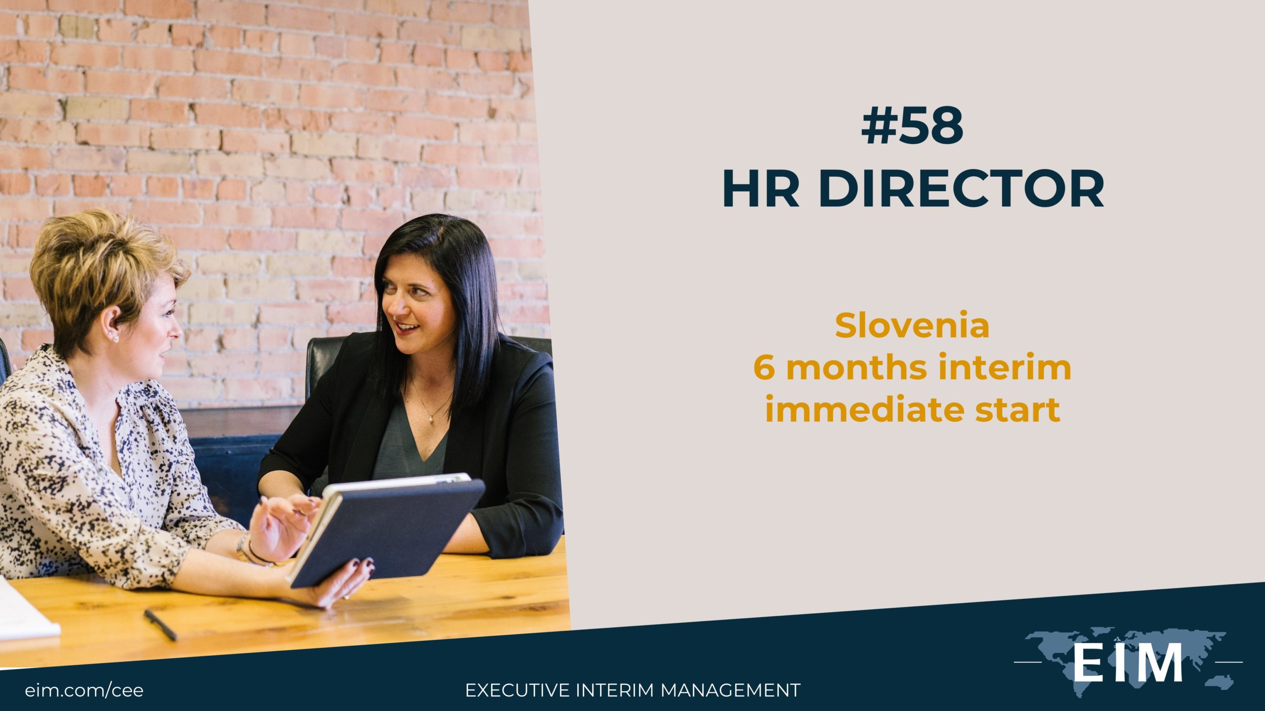 Interim HR Director