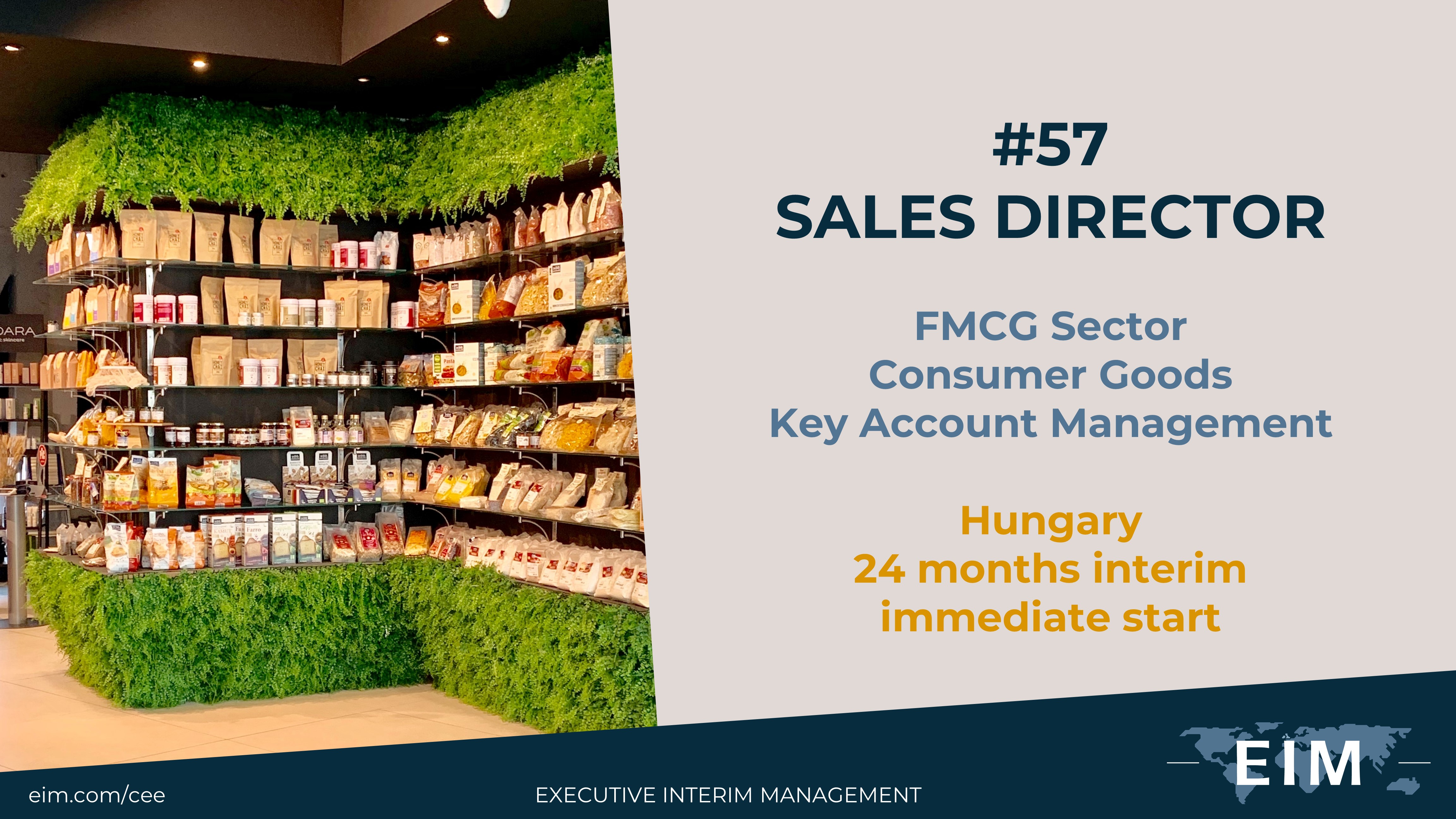 Interim Sales Director Interim Sales Director