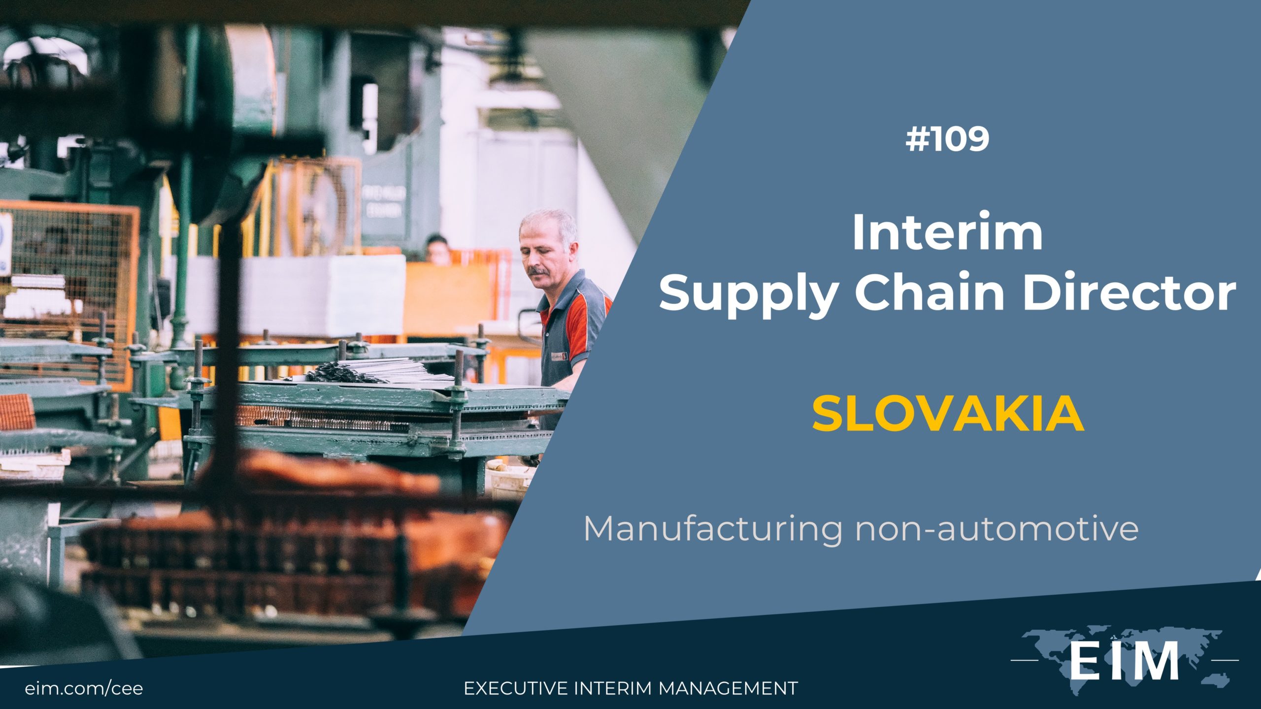 Interim Supply Chain