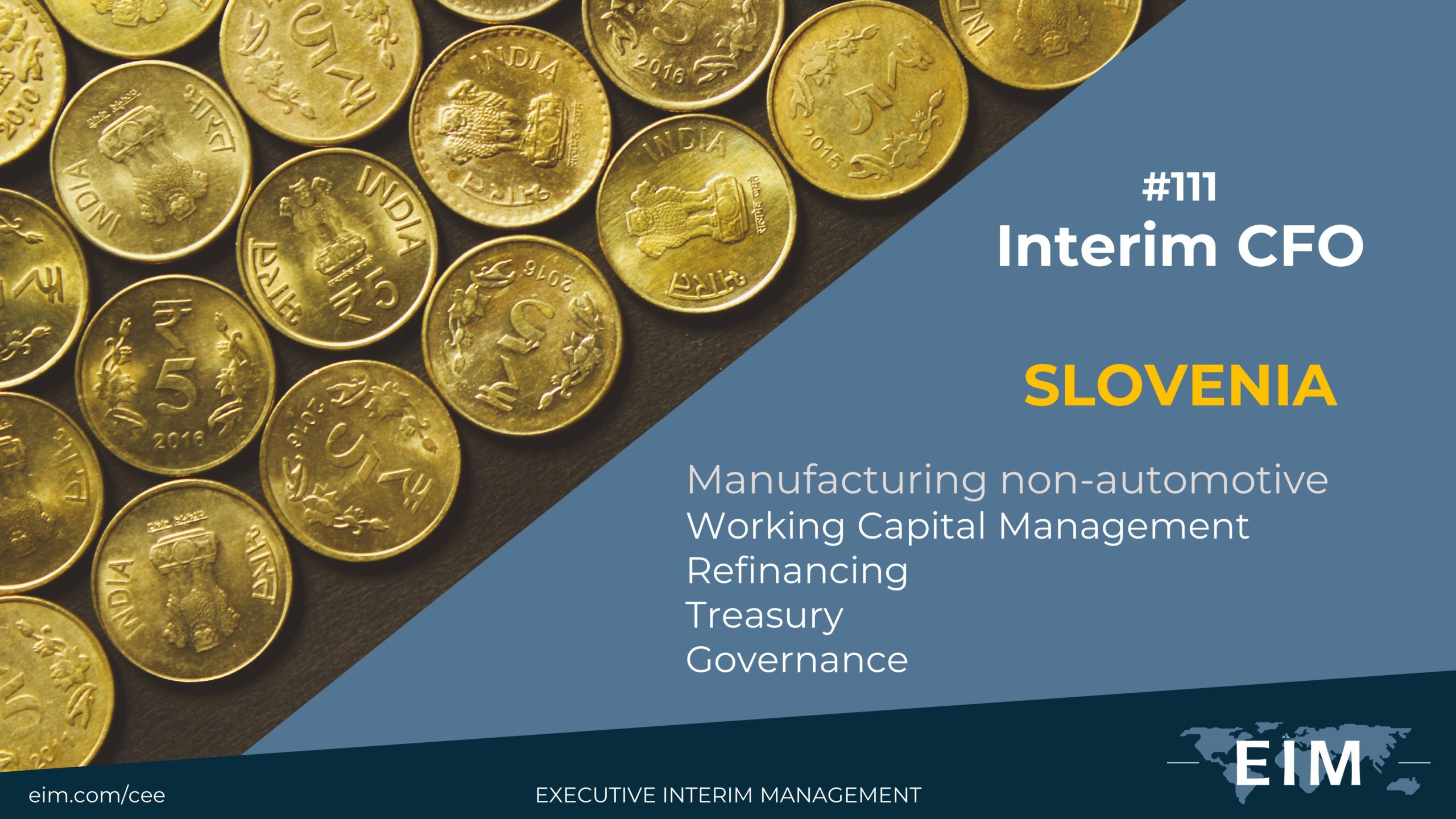 Interim CFO Interim CFO