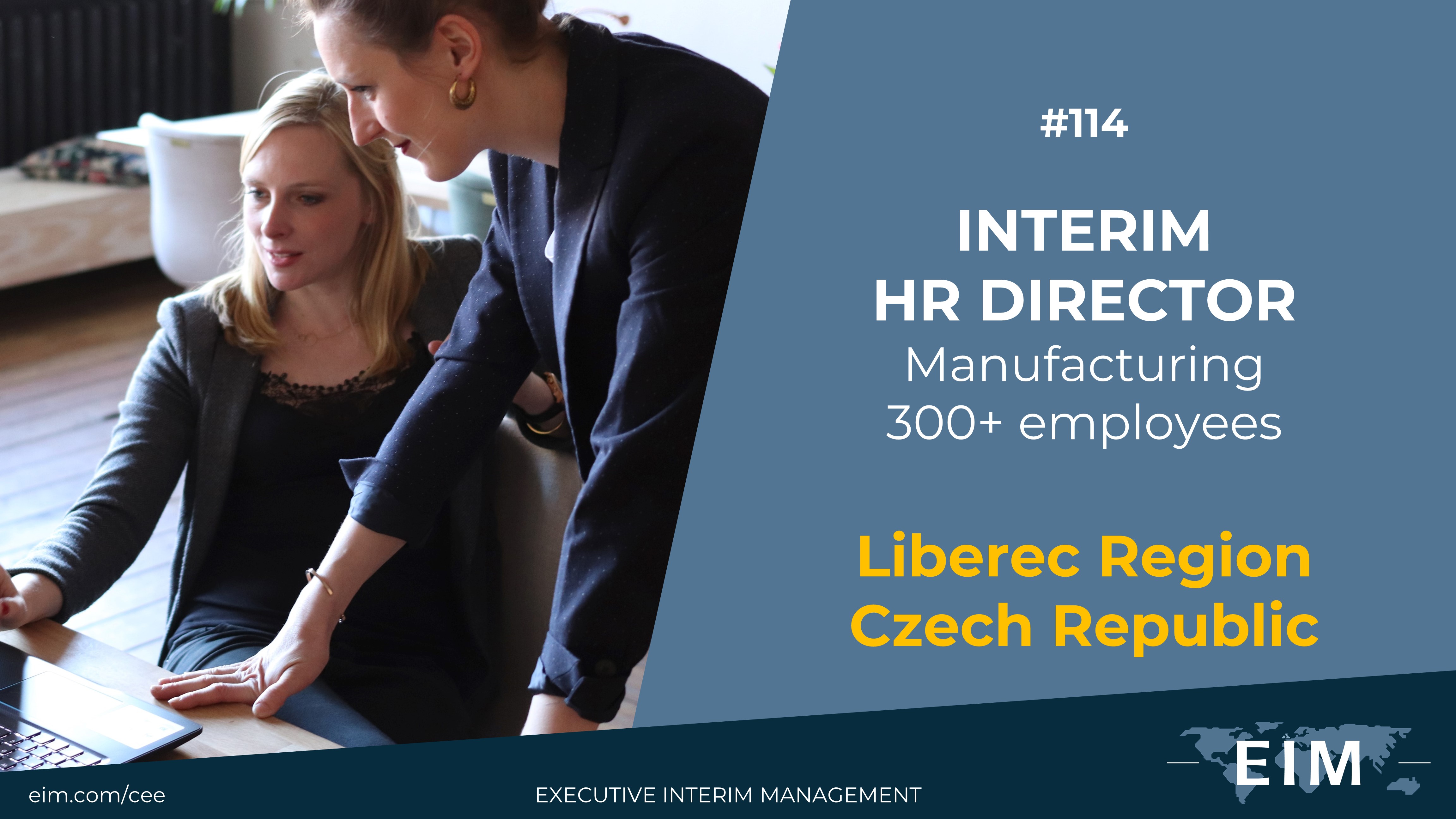 Interim HR Director Interim HR Director