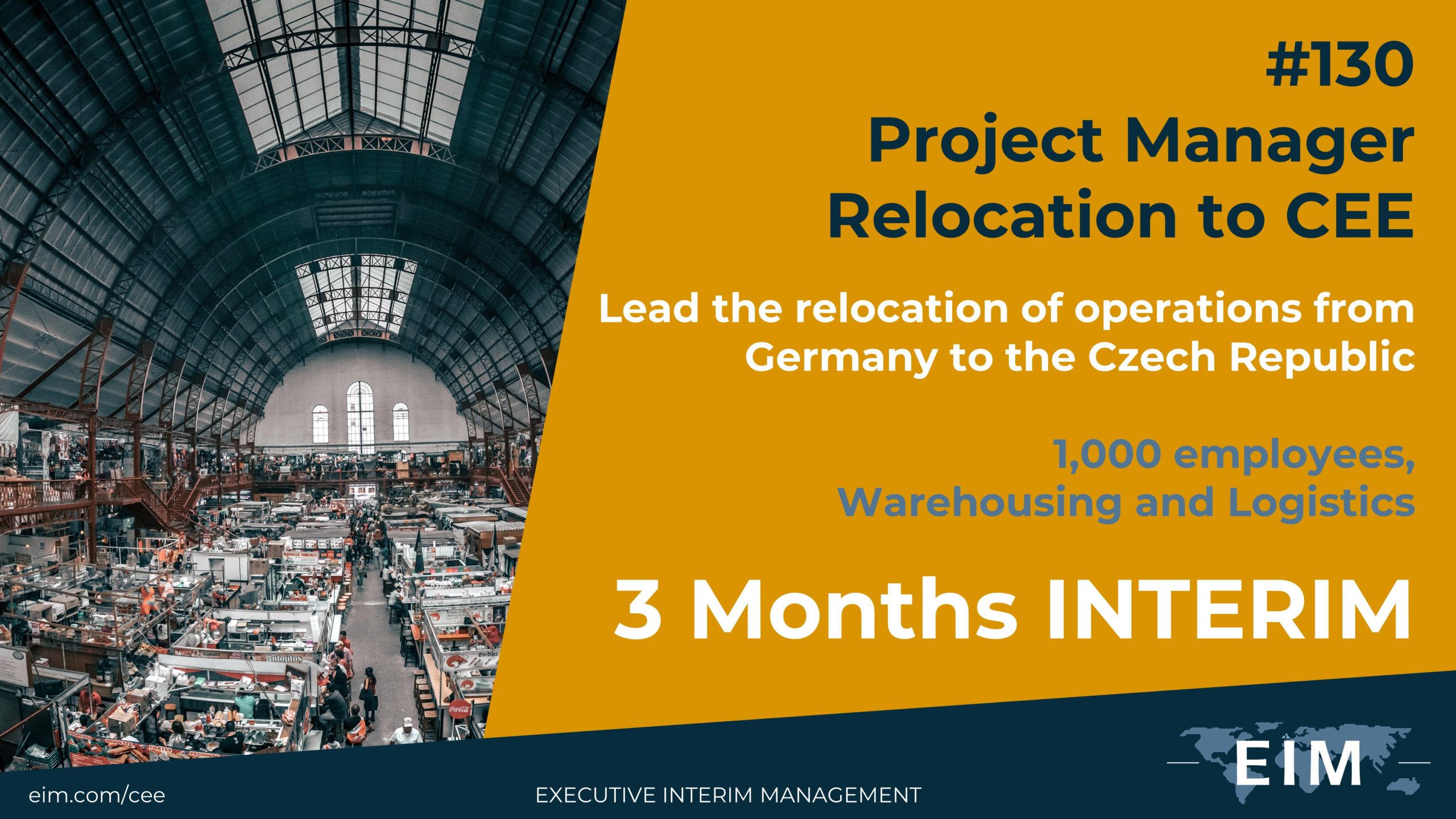 Interim Project Manager Interim Project Manager