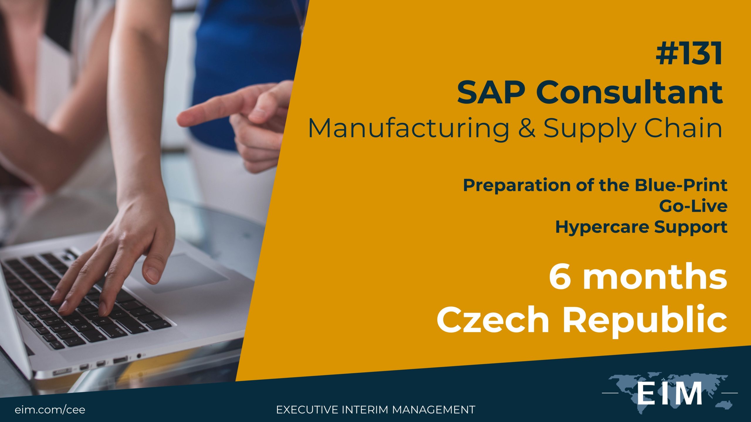 SAP Consultant SAP Consultant