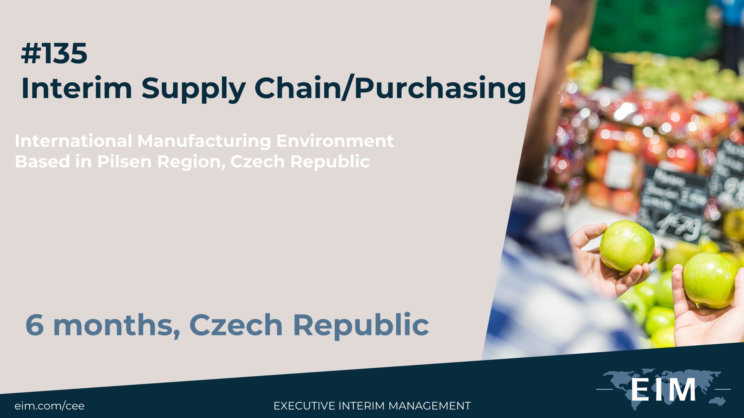 Interim Supply Chain