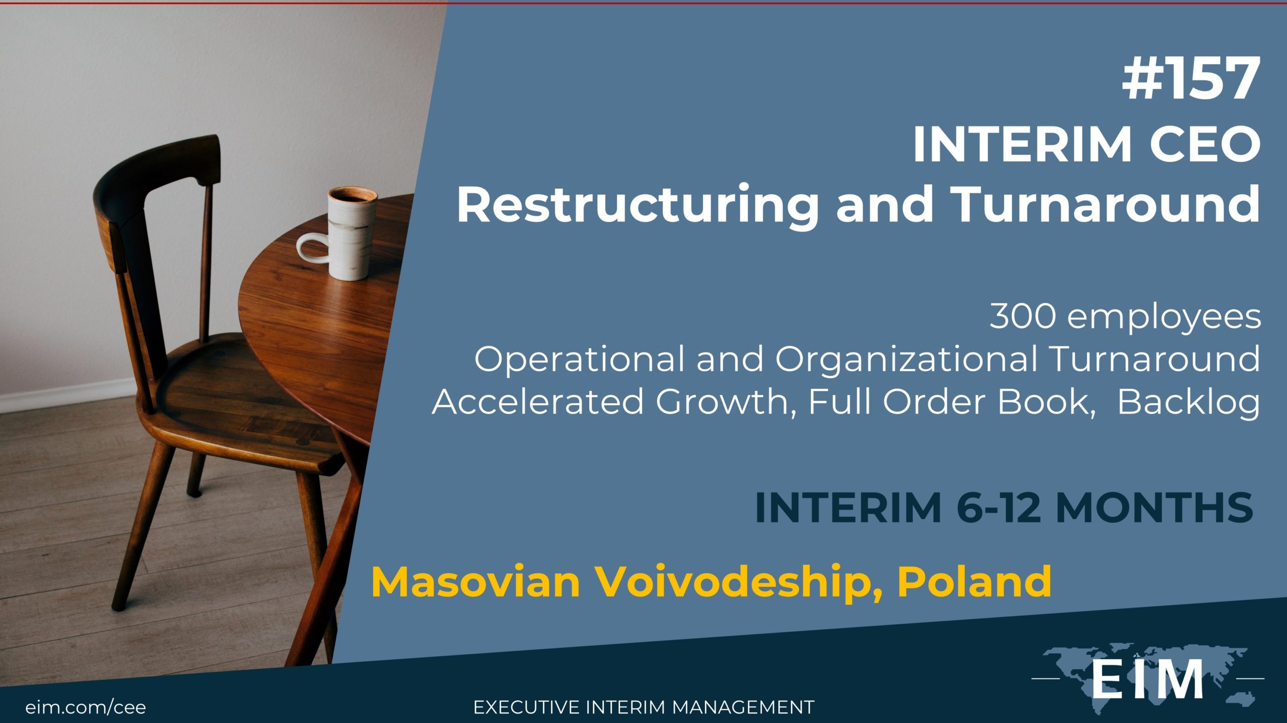 Interim Turnaround Manager Interim Turnaround Manager