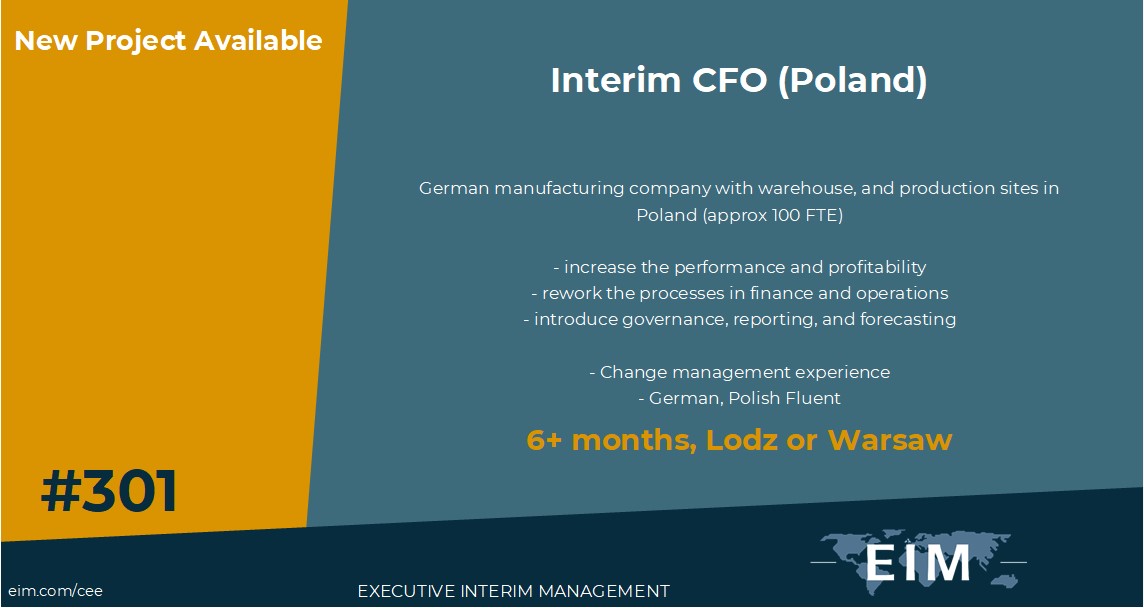 New Mission 301 Interim IT Manager