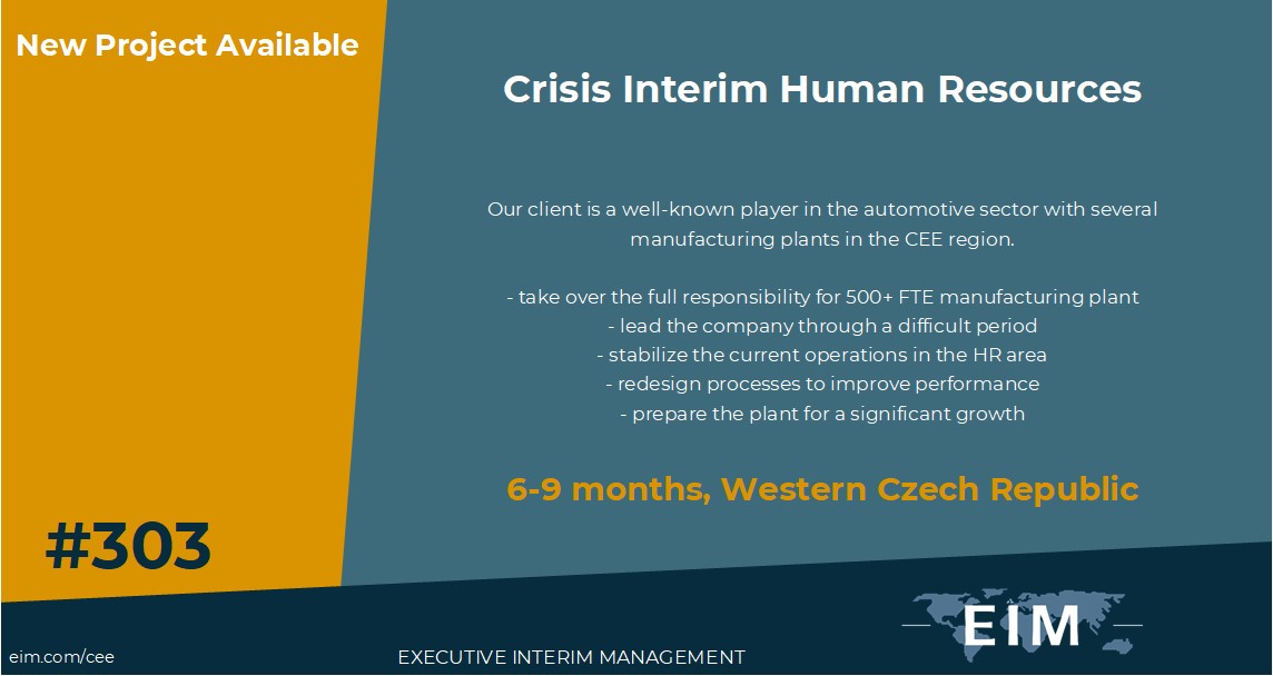 New Mission 303 Interim IT Manager