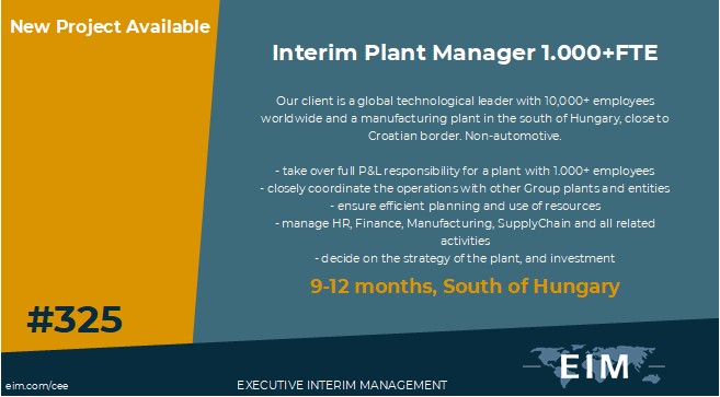 New Mission 325 Interim IT Manager