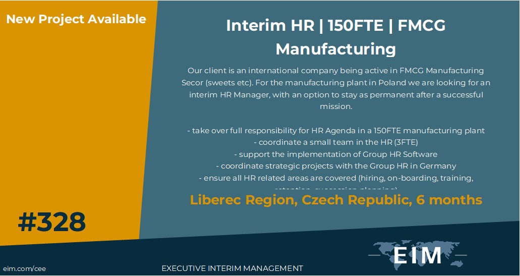New Mission 328 Interim IT Manager