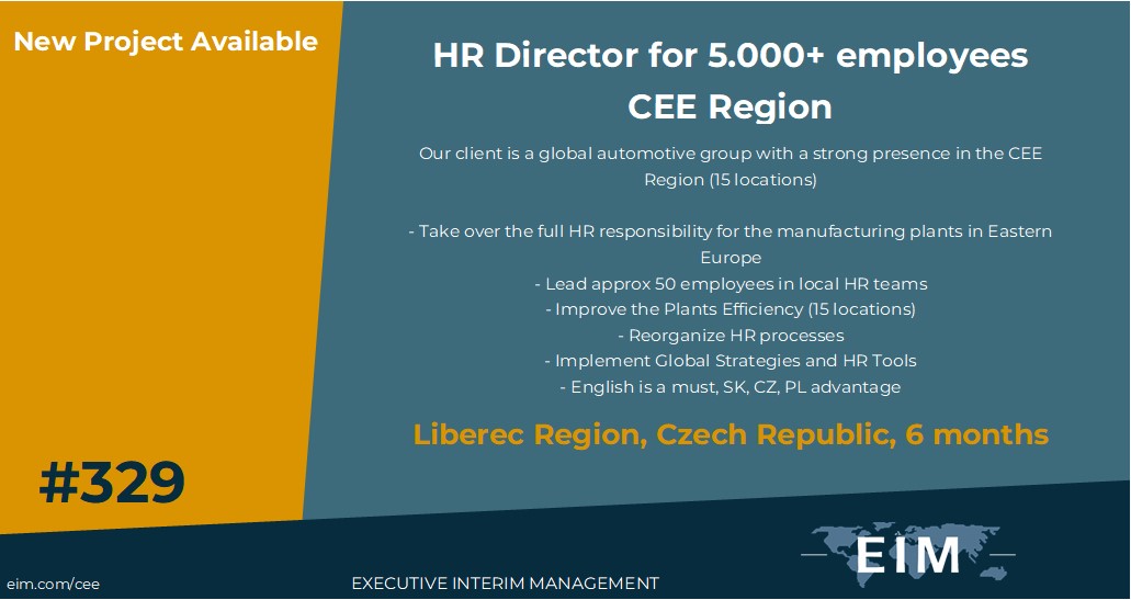 New Mission 329 Interim IT Manager