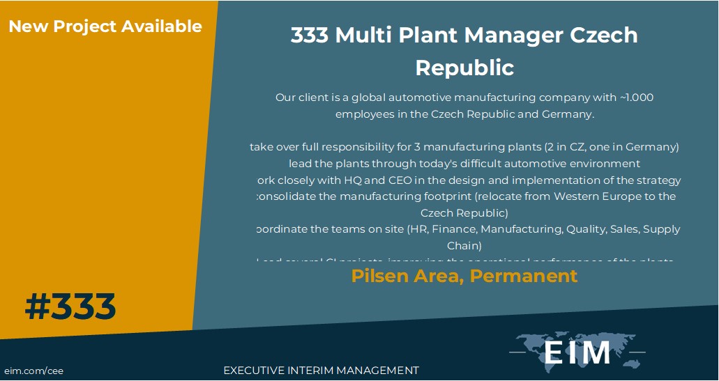 New Mission 333 Interim IT Manager